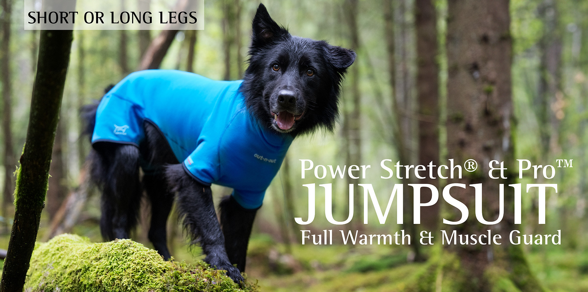 jumpsuit for dogs /hundoverall